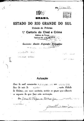 RT 234/41- Pelotas